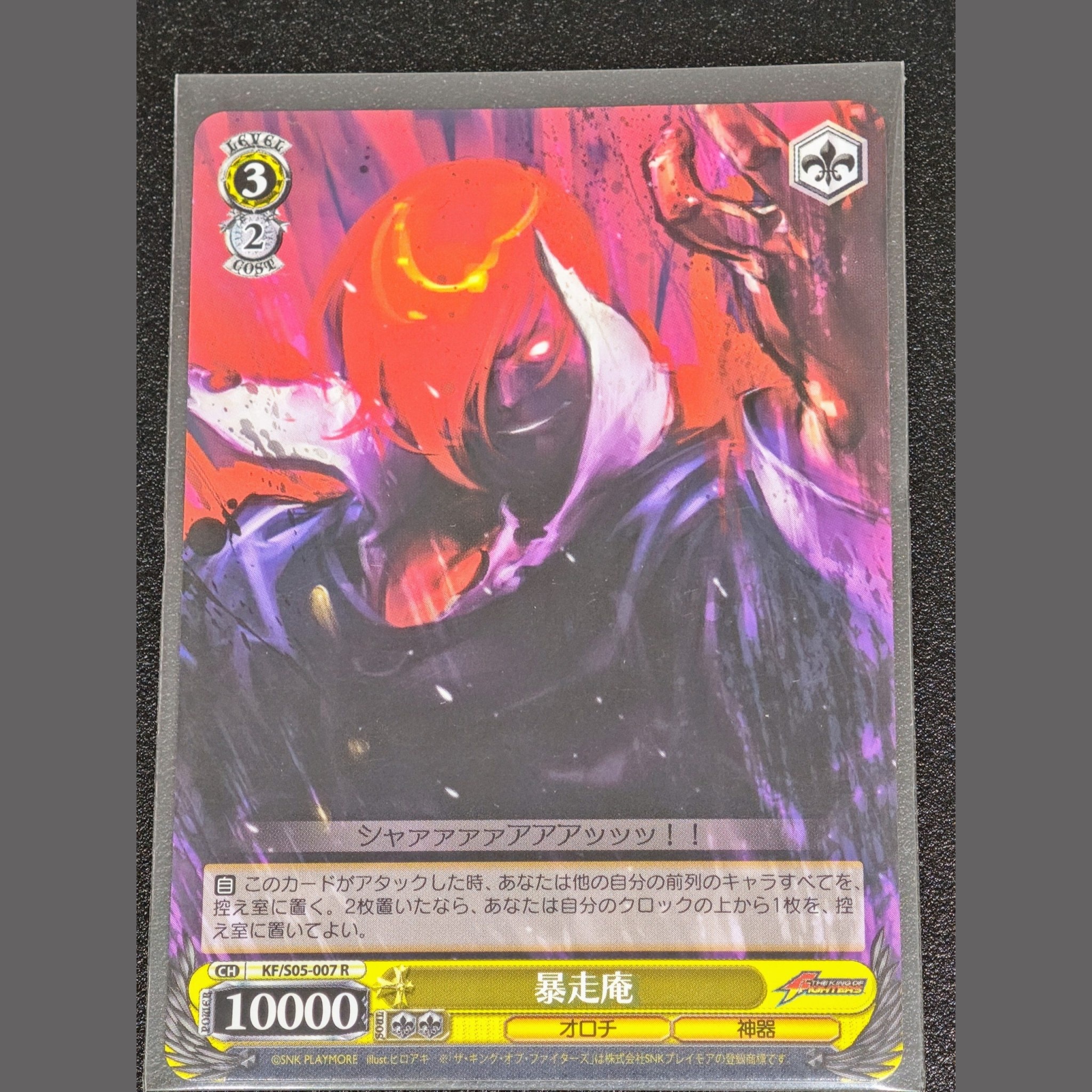暴走庵 — Iori Descontrolado