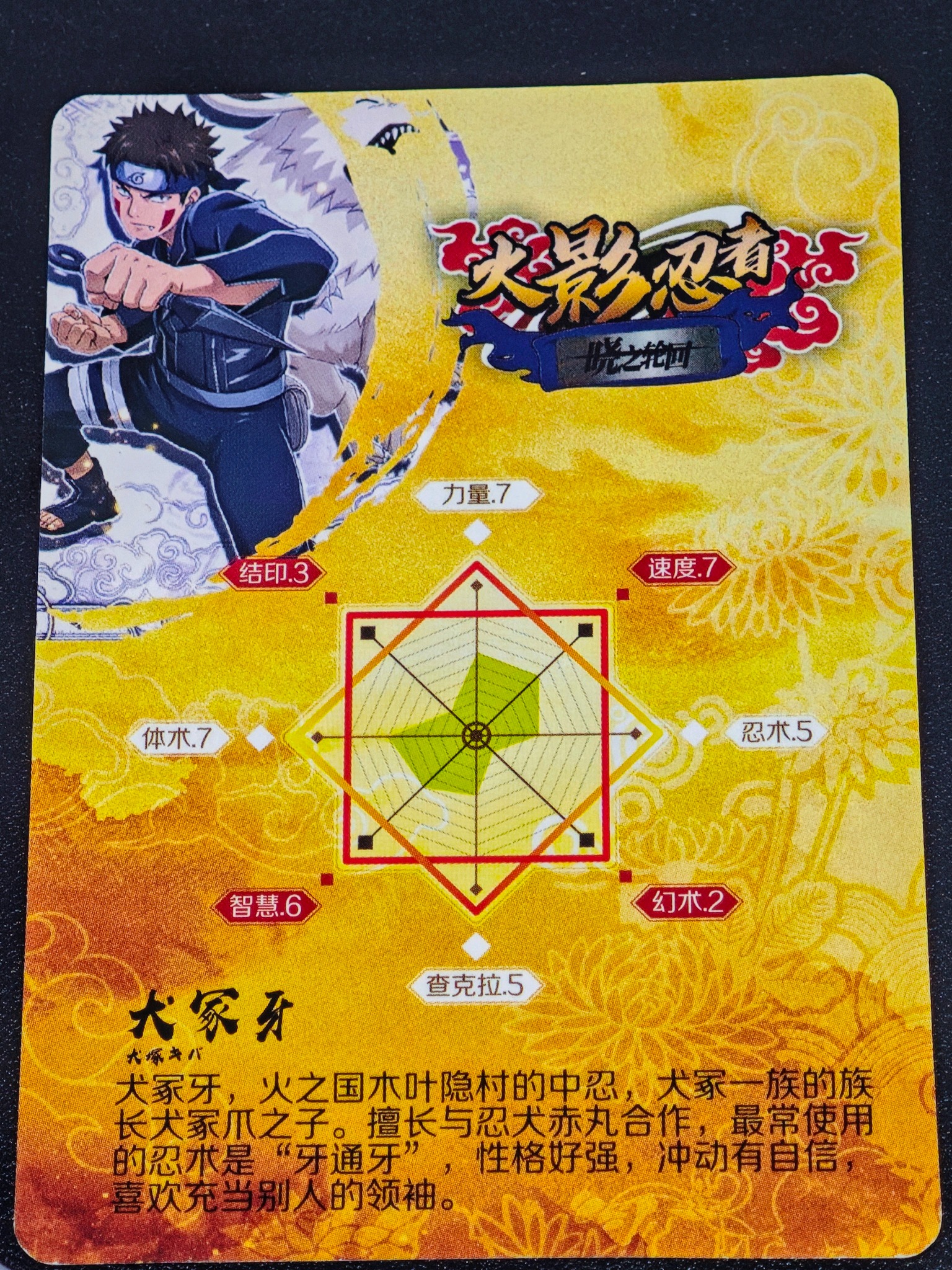 犬冢牙 — Kiba Inuzuka