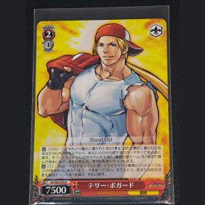 テリー・ボガード — Terry Bogard