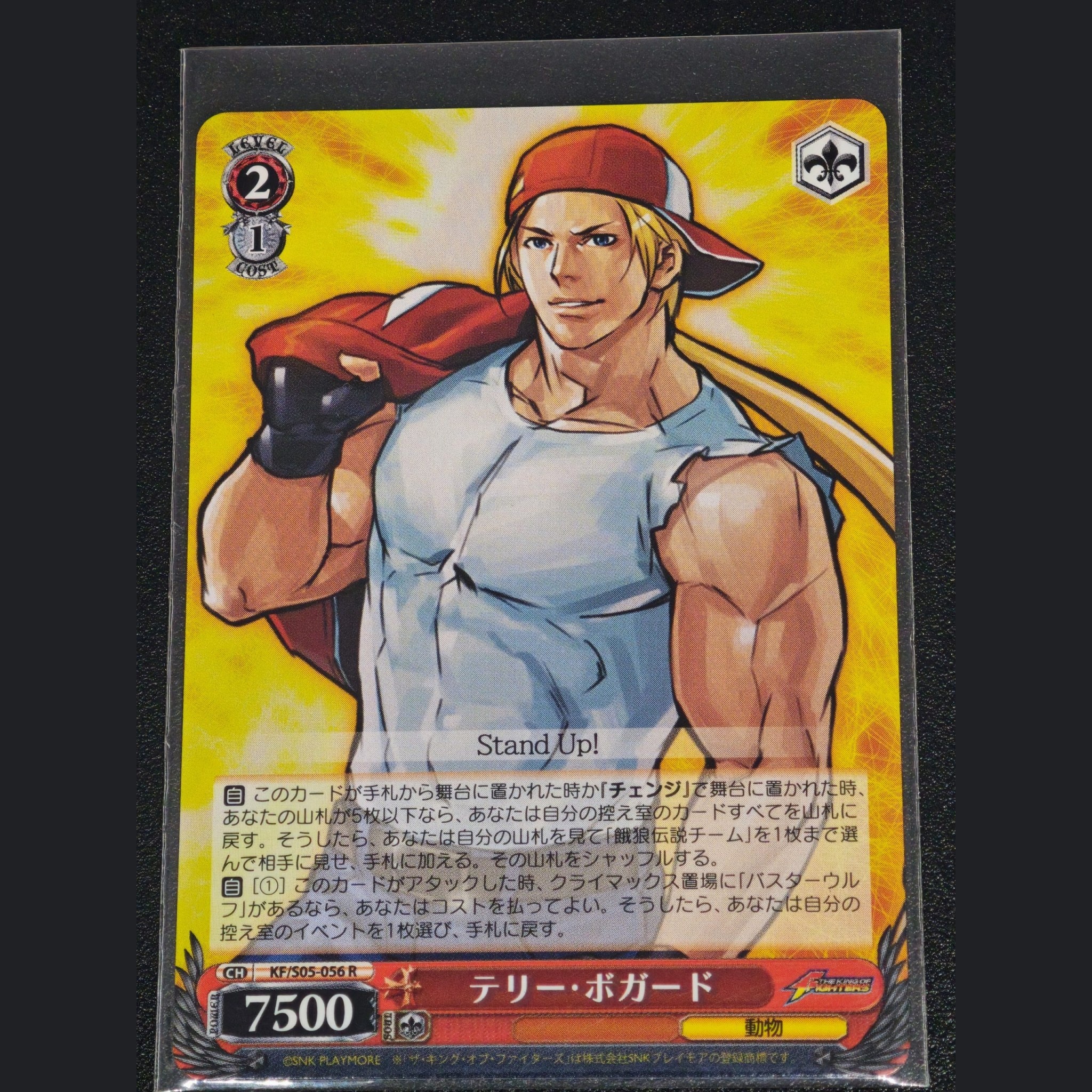 テリー・ボガード — Terry Bogard