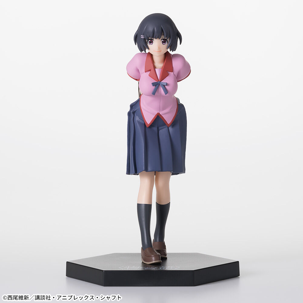 Hanekawa Tsubasa — High Grade Figure, PM