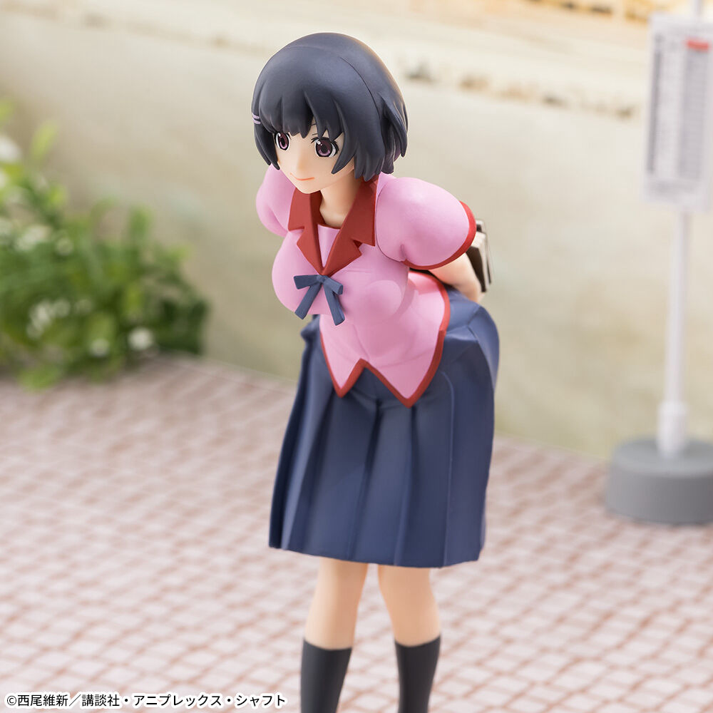 Hanekawa Tsubasa — High Grade Figure, PM
