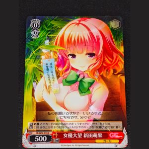 女優大望 新田萌果 — Gran Aspiración de Actriz - Moeka Nitta