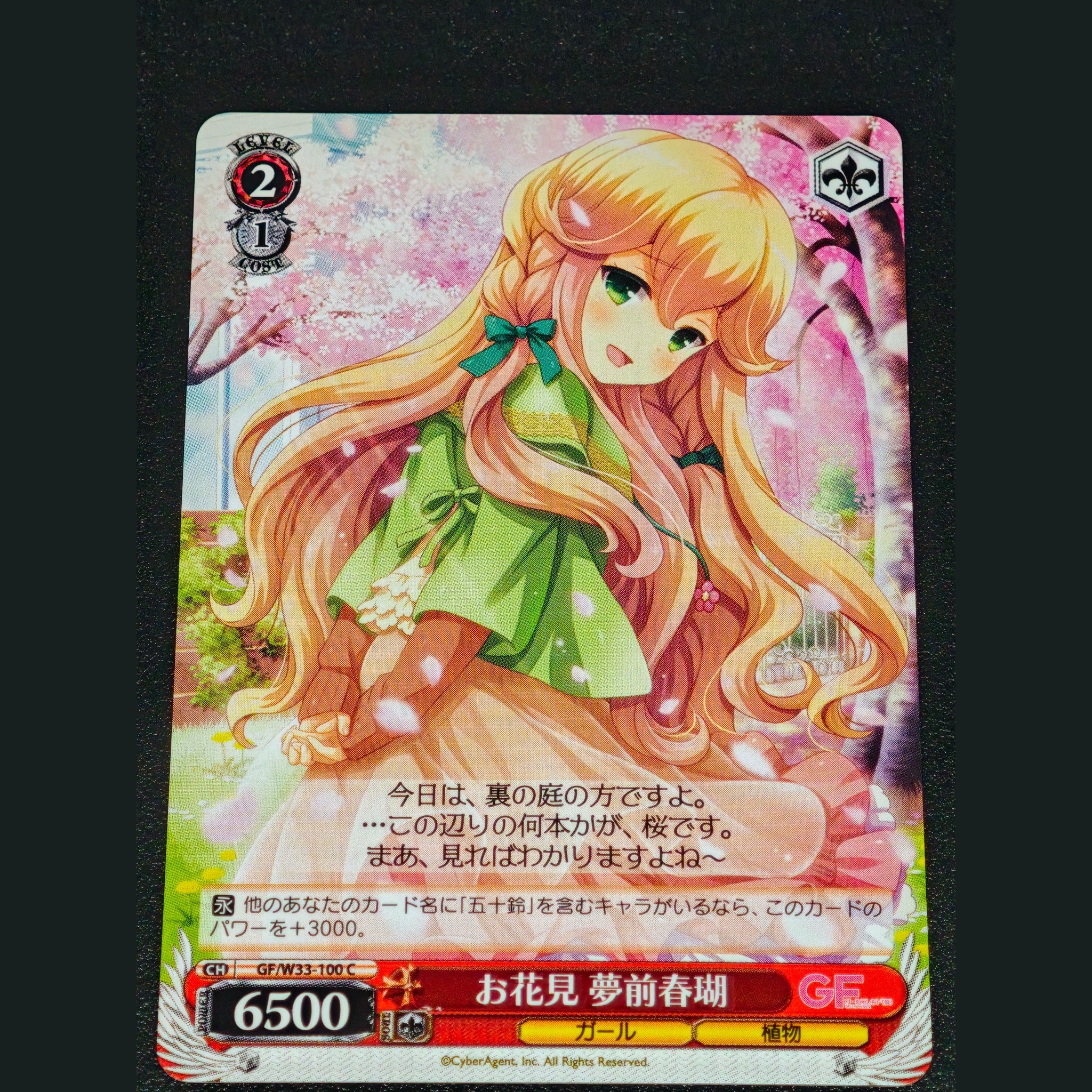 お花見 夢前春瑚 — Hanami Yumemae Haruko