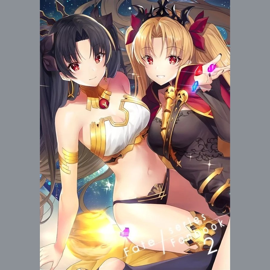 Fate / series Fanbook 2
