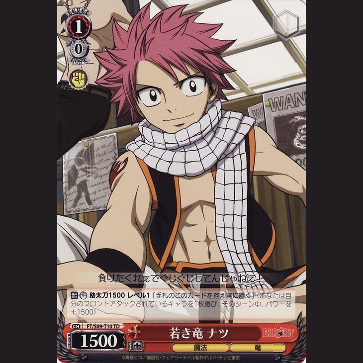 若き竜 ナツ — Joven Dragón Natsu