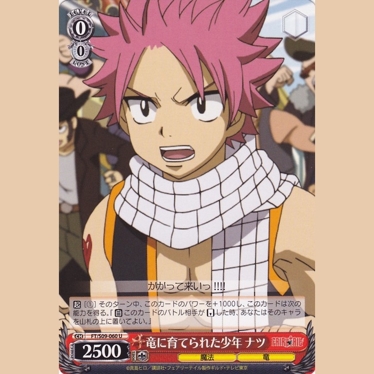 竜に育てられた少年 ナツ — Natsu, el Chico Criado por Dragones