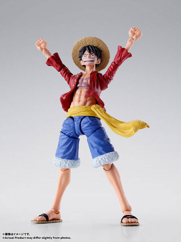 S.H.Figuarts Monkey D. Luffy -New World- "ONE PIECE"