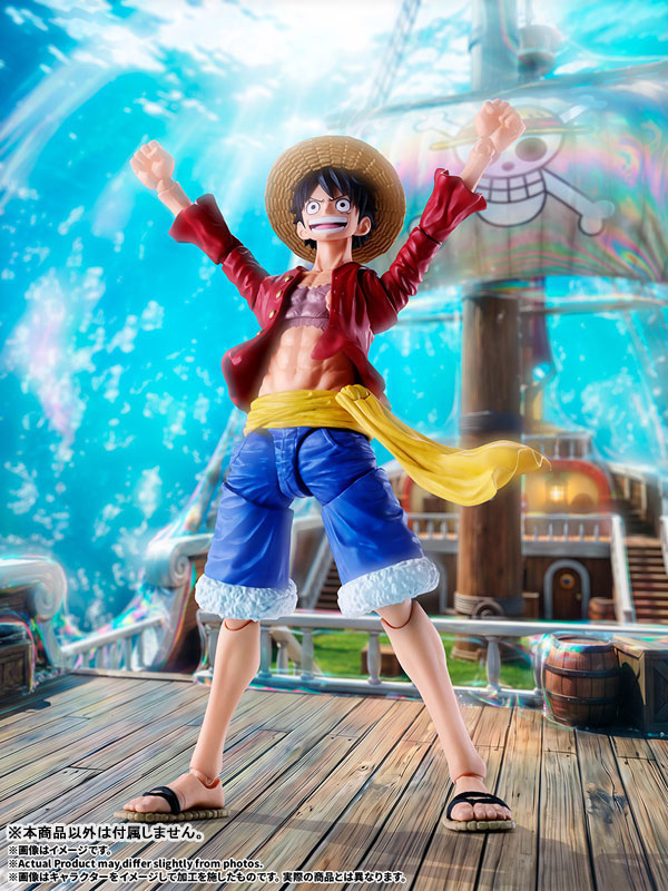 S.H.Figuarts Monkey D. Luffy -New World- "ONE PIECE"