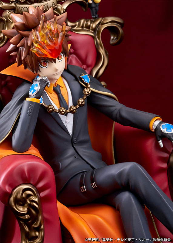 TV Anime Reborn! Tsunayoshi Sawada & Reborn